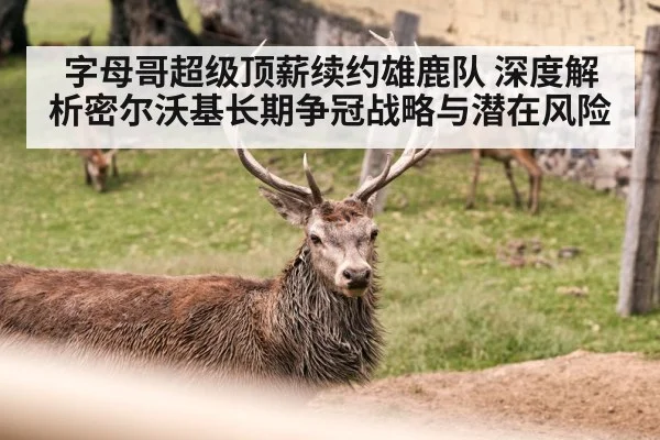 字母哥超级顶薪续约雄鹿队 深度解析密尔沃基长期争冠战略与潜在风险