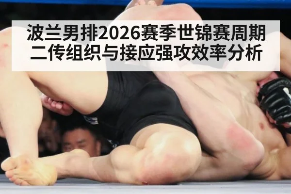 波兰男排2026赛季世锦赛周期二传组织与接应强攻效率分析